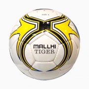 football-mallhi-tiger
