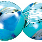 58ffe174201099035301118247e8b202.png